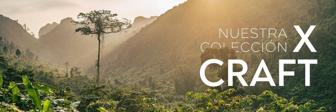 La historia detrás de X - Craft